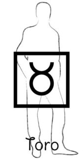 L'uomo del Toro